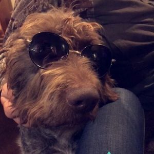 Meet your Posher, Ally